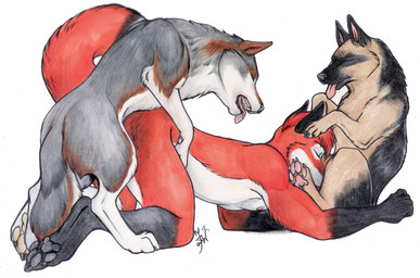 2013 all_fours anal anal_penetration anthro anthro_on_feral bestiality blackfrost canine colored_pencil_(artwork) crayon_(artwork) dog doggystyle eyes_closed feral fox from_behind fur german_shepherd group group_sex interspecies kale knotting male male/male mammal marker_(artwork) mixed_media nude open_mouth oral pen_(artwork) penetration plain_background sex spitroast threesome tongue tongue_out traditional_media_(artwork) white_background wolf
Rating: Explicit
Score: 25
User: ZepiWolf
Date: July 17, 2014 2013 all_fours anal anal_penetration anthro anthro_on_feral bestiality blackfrost canine colored_pencil_(artwork) crayon_(artwork) dog doggystyle eyes_closed feral fox from_behind fur german_shepherd group group_sex interspecies kale knotting male male/male mammal marker_(artwork) mixed_media nude open_mouth oral pen_(artwork) penetration plain_background sex spitroast threesome tongue tongue_out traditional_media_(artwork) white_background wolf
Rating: Explicit
Score: 25
User: ZepiWolf
Date: July 17, 2014