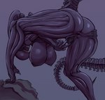 anus big_breasts black_body breasts butt eyeless female genitals hanging_breasts inner_mouth looking_through looking_through_legs nipples nude pussy solo spread_butt spread_pussy spreading saidra alien_(franchise) alien xenomorph absurd_res hi_res