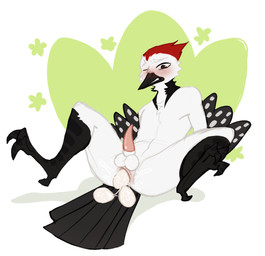 anal_oviposition animal_genitalia anthro anus balls beak black_body blush bodily_fluids brown_eyes cum egg erection feathers feet genital_fluids genitals male nude oviposition penis pink_genitals pink_penis simple_background solo spread_legs spreading tail talons tapering_penis toes white_body white_feathers white_genitals geniebuy layvan avian bird picid piciform woodpecker 2026 absurd_res colored colored_sketch digital_media_(artwork) hi_res sketch