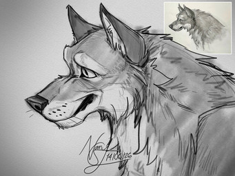 feral male solo aaron_blaise namygaga canid canine canis mammal wolf 4:3 hi_res redraw sketch