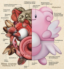 ambiguous_gender anatomical_diagram anatomical_study anatomy anatomy_chart anthro beady_eyes biped black_eyes bone chart closed_smile cross_section egg feet front_view looking_at_viewer mouth_closed multicolored_body paper_background pink_body simple_background skull smile smiling_at_viewer solo tan_background text twitter_handle two_tone_body x-ray_view christopher_stoll nintendo pokemon pokenatomy blissey generation_2_pokemon pokemon_(species) 2022 copyright_name digital_drawing_(artwork) digital_media_(artwork) english_text full-length_portrait portrait species_name