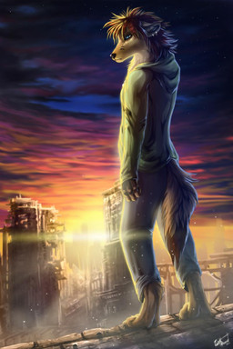 barefoot black_nose brown_hair day detailed_background digitigrade feet fingers hair outside sky solo star starry_sky sun toes wolfroad canid canine mammal 2012 2:3 digital_media_(artwork) hi_res