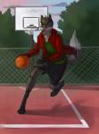 anthro ball basketball basketball_(ball) bottomwear clothed clothing detailed_background digitigrade fur green_eyes hoodie jewelry leg_markings male markings necklace outside shorts socks_(marking) solo sport topwear danawolfin canid canine fox mammal absurd_res hi_res