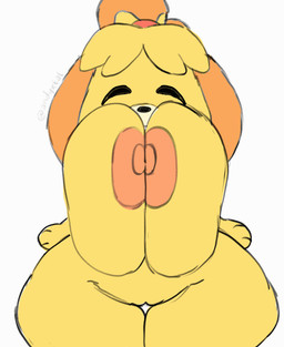 areola big_breasts blush blush_stickers bouncing_breasts breasts female front_view genitals happy huge_breasts jumping looking_at_viewer nipples nude open_mouth simple_background smile solo spread_legs spreading teeth thick_thighs tongue tongue_out vulva white_background andyxtal animal_crossing nintendo isabelle_(animal_crossing) canid canine canis domestic_dog mammal 2d_animation animated frame_by_frame hi_res loop