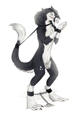 4_toes anthro barefoot bdsm black_body black_fur blue_eyes bondage bound breasts chain chained claws collar cuff_(restraint) digitigrade dipstick_tail feet female forked_tongue fur hands_together leg_markings markings multicolored_tail muzzle_(object) nude prisoner restrained restraints shackles simple_background socks_(marking) solo standing submissive submissive_female tail tail_markings tail_tuft toes tongue tongue_out tuft white_background white_body white_fur yellow_sclera sidgi murchetta mammal sergal