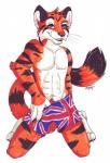 abs anthro biped black_body black_fur blue_eyes boxers_(clothing) clothed clothing flag flag_clothing flag_print flag_underwear fur grin kneeling looking_at_viewer male orange_body orange_fur patriotic_clothing print_clothing print_underwear pubes seductive simple_background smile solo teasing topless underwear union_jack white_background white_body white_fur celestialwolfen felid mammal pantherine tiger 2009