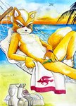 anthro beach blush bracelet clothing fur green_eyes hammock jewelry looking_at_viewer male navel orange_body orange_fur palm_tree plant slim solo speedo swimwear towel tree wet wet_body ulala_ko nintendo star_fox fox_mccloud canid canine fox mammal hi_res