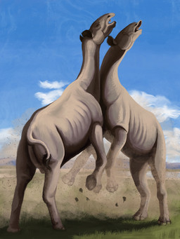 blue_sky cloud day duo dust_cloud feral fight grass grey_body grey_skin long_neck plant quadruped sky agustindiazart hyracodontid mammal paraceratherium prehistoric_species rhinoceros 2026 3:4 hi_res