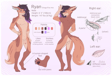 5_fingers 5_toes anthro backsack balls butt feet femboy fingers flaccid foreskin fur genitals hair humanoid_feet humanoid_genitalia humanoid_penis looking_at_viewer male nipples nude pawpads pecs penis plantigrade simple_background smile solo standing tail text tight_foreskin toes conditional_dnp yukkoo ryan_(yukkoo) canid canine canis dingo fox hybrid mammal digital_media_(artwork) english_text hi_res model_sheet