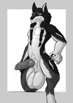 anatomically_correct anatomically_correct_genitalia animal_genitalia animal_penis anthro balls big_balls big_sheath black_nose black_pawpads blue_eyes braided_hair brown_body brown_fur brown_hair canine_genitalia canine_penis claws digitigrade erection fur genitals gloves_(marking) grin hair heavy_balls huge_balls hyper hyper_balls hyper_genitalia inner_ear_fluff knot long_hair looking_at_viewer male markings multicolored_body multicolored_ears multicolored_fur pawpads penis presenting presenting_balls saggy_balls sheath simple_background smile solo spread_legs spreading standing text tuft kroren athoswolf1337 canid canine canis mammal wolf 2024 absurd_res black_and_white digital_media_(artwork) hi_res monochrome restricted_palette shaded url