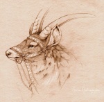 bridle feral fur horn male reins solo asemo ghibli princess_mononoke yakkul antelope bovid lechwe mammal reduncine bust_portrait monochrome portrait