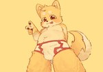 briefs brown_eyes bulge clothing colored_seam_underwear detailed_bulge fur looking_at_viewer looking_down looking_down_at_viewer male red_seam_underwear solo tongue tongue_out underwear yellow_body yellow_fur young hanbaobao canid canine canis domestic_dog mammal shiba_inu spitz absurd_res hi_res