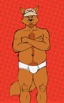 alabama_flag anthro briefs briefs_only brown_body brown_fur bulge clothed clothing crossed_arms detailed_background fur hat headgear headwear male pattern_briefs randall_wyatt red_background simple_background solo tan_hat tan_headwear tighty_whities topless underwear underwear_only white_briefs white_clothing white_underwear rthur randy_(lolly-pup) canid canine canis mammal wolf 2012