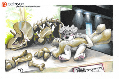 anthro blush bodily_fluids bone drooling featureless_crotch floppy_ears fur grey_body grey_fur inside logo male narrowed_eyes nude pawpads pink_pawpads saliva sitting skeleton solo text white_body white_fur young young_anthro young_male pandapaco canid canine canis domestic_dog mammal artist_logo signature url