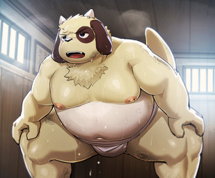 anthro asian_clothing belly biceps big_belly blue_eyes bodily_fluids breath brown_body brown_fur chest_tuft clothing east_asian_clothing eye_spots floppy_ears fur hands_on_knees hands_on_legs horn inside japanese_clothing male markings mawashi musclegut muscular muscular_anthro muscular_male musk navel nipples overweight overweight_anthro overweight_male panting solo spots spotted_markings sumo sumo_wrestler sweat sweat_drip tail thick_thighs training tuft white_body white_fur wide_stance ssu_open canid canine canis domestic_dog mammal 2024 absurd_res colored digital_drawing_(artwork) digital_media_(artwork) hi_res