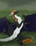 anus black_body black_pawpads black_scales claws female feral fur genitals grass horn mane membrane_(anatomy) orange_body orange_fur orange_mane pawpads pink_anus pink_pussy plant purple_membrane pussy scales solo white_body white_claws white_horn white_scales misskarma mythology dragon mythological_creature mythological_scalie scalie hi_res