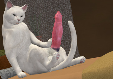 animal_genitalia balls digitigrade erection feral genitals hyper looking_at_viewer male paws penile_spines penis quadruped realistic_feral sheath small_but_hung solo tail what_has_science_done tapiko domestic_cat felid feline felis mammal 3d_(artwork) digital_media_(artwork)