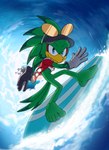 anthro barefoot beach clothing eyewear feet male solo sunglasses surfboard surfing wave foot_ninja15 sega sonic_riders sonic_the_hedgehog_(series) jet_the_hawk accipitrid accipitriform avian bird absurd_res hi_res