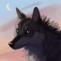 ambiguous_feral ambiguous_gender black_body black_fur black_nose blue_eyes blue_sky cheek_tuft facial_tuft feral fur grey_body grey_fur looking_at_viewer moon mouth_closed neck_tuft orange_eyes outside sky solo star tuft whiskers heatherwolf canid canine canis mammal wolf 1:1