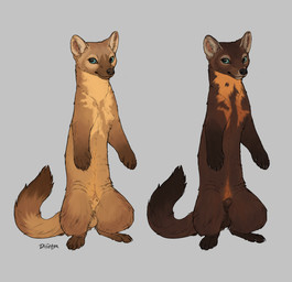 animal_genitalia animal_penis balls brown_body brown_fur duo feral fluffy fluffy_tail fur genitals male mustelid_penis on_hind_legs penis penis_tip sheath simple_background tail difetra american_marten gulonine mammal marten mustelid musteline 2025 hi_res
