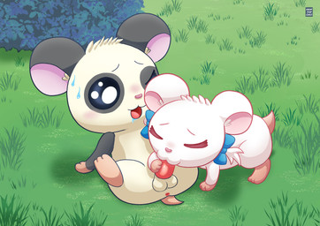 anus balls black_body black_fur blush bodily_fluids bow_ribbon duo fellatio female fur genitals grass logo male male/female oral penile penis plant saliva sex sweat tapering_penis white_body white_fur hamtaroso hamtaro_(series) bijou_(hamtaro) panda_(hamtaro) cricetid hamster mammal rodent absurd_res artist_logo hi_res
