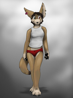 anthro breasts brown_hair clothing ear_piercing ear_ring female female_anthro front_view grey_background hair heterochromia panties pawpads paws piercing plushie ring_piercing shirt simple_background solo standing tan_body tank_top topwear underwear white_background fennecfaux animate_inanimate canid canine fennec_fox fox living_plushie mammal true_fox 3:4 hi_res