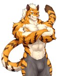 abs anthro clothed clothing countershading fur looking_at_viewer male muscular muscular_anthro muscular_male partially_clothed pecs solo striped_body striped_fur stripes captainjohkid felid mammal pantherine tiger absurd_res hi_res