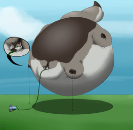 anthro belly cloud duo floating flying inflation landscape male sky pumex diabolos_wolf canid canine canis domestic_dog german_shepherd herding_dog mammal pastoral_dog