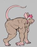 anthro biceps breasts brown_body brown_fur female fur hair looking_at_viewer midriff muscular muscular_anthro muscular_female open_mouth pecs pecs_with_breasts pink_eyes pink_hair solo ritts trace_raymes mammal murid murine rat rodent