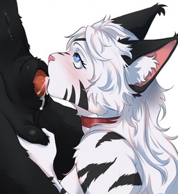 anthro ball_grab balls black_body black_fur blue_eyes blush blush_lines bodily_fluids collar collar_only cum cum_drip cum_in_mouth cum_inside dripping duo female fur genital_fluids genitals hair inner_ear_fluff knot knot_root knotted_penis knotting leaking_cum long_hair looking_at_another looking_up male male/female markings navel nude oral oral_knotting oral_penetration penetration penis striped_body striped_fur striped_markings stripes tongue tongue_out tuft white_body white_fur white_hair ha-ha_(artist) felid mammal pantherine tiger hi_res