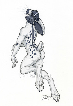 4_toes 5_fingers anthro black_hair butt digitigrade feet fingers fur hair male nude raised_tail solo tail toes whiskers white_body white_fur katie_hofgard lagomorph leporid mammal rabbit 2015 traditional_media_(artwork)