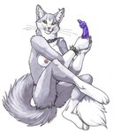 4_fingers anthro areola barbed_dildo biped black_bracelet black_collar blue_dildo bracelet breasts collar collar_only curved_tail dark_collar dark_pupils dildo dipstick_tail ear_piercing feet female fingers fur green_eyes grey_body grey_ears grey_face grey_fur grey_tail grey_whiskers holding_dildo holding_object holding_sex_toy industrial_piercing inner_ear_fluff iris jewelry leather light_body light_breasts light_ears light_face light_fur long_tail looking_at_viewer markings monotone_breasts monotone_tail multicolored_face multicolored_tail nipple_piercing nipples no_sclera nude piercing pupils red_areola red_nipples red_nose sex_toy simple_background solo spiked_bracelet spiked_collar spikes tail tail_markings toes tuft two_tone_face two_tone_tail whiskers white_background white_body white_breasts white_face white_fur white_tail defiler_wyrm domestic_cat felid feline felis mammal 2006