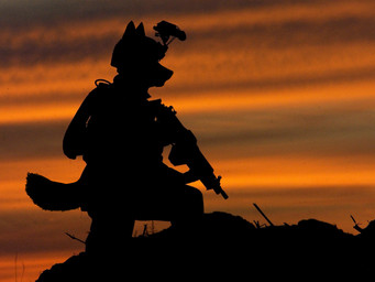 anthro armor combat_helmet gun headgear helmet holding_gun holding_object holding_ranged_weapon holding_weapon machine_gun male military outside photo_background ranged_weapon realistic shadow silhouette soldier solo sunset warrior weapon koosh-ball canid canine canis domestic_dog mammal detailed digital_media_(artwork) mixed_media photography_(artwork) source_request warm_colors