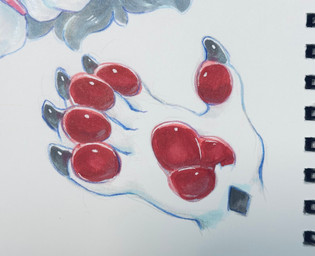 5_fingers black_claws claws diamond_(marking) finger_claws fingers fur hand_focus markings pawpads red_pawpads simple_background white_body white_fur zero_pictured mochiri 2026 cel_shading hi_res shaded traditional_media_(artwork)