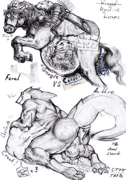 anthro anus ball_squeeze belly big_belly bodily_fluids cum death_count digestion fatal_vore feral genital_fluids group knight leaking_cum male male/male organs overweight paws presenting presenting_anus rumbling_stomach stomach trio vore warrior weight_gain winged_hussars x-ray_view anxiousboar aquatic badger beaver equid equine fish horse mammal mustelid musteline rodent shark absurd_res hi_res sketch traditional_media_(artwork)