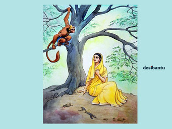 brown_body brown_fur clothed clothing duo female fur male plant religion tree unknown_artist asian_mythology hindu_mythology hinduism mythology hanuman deva haplorhine human mammal monkey primate 4:3