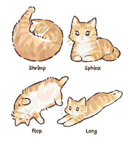 ambiguous_gender eyes_closed feral fur lying multiple_poses on_back on_front on_side pink_nose pose simple_background sleeping solo tail text whiskers white_background white_body white_fur yellow_body yellow_eyes yellow_fur gentleeeeeeecat domestic_cat felid feline felis mammal colored digital_drawing_(artwork) digital_media_(artwork) english_text hi_res shaded