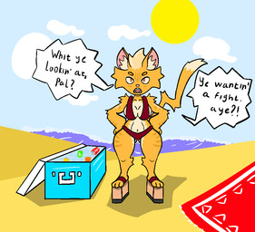 anthro appliance beach beach_towel brown_eyes clothing female footwear fridge fur hair high_heels kitchen_appliance orange_body orange_fur orange_hair red_clothing red_swimwear sea shoes shortstack shortstack_female solo swimwear towel water wizrat domestic_cat felid feline felis mammal