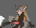 animal_genitalia anthro balls bashful blush blush_lines bodily_fluids cum fur furry_ears genital_fluids genitals knot male masturbation pawpads sheath solo toe_pads benji_(artist) canid canine fox mammal hi_res