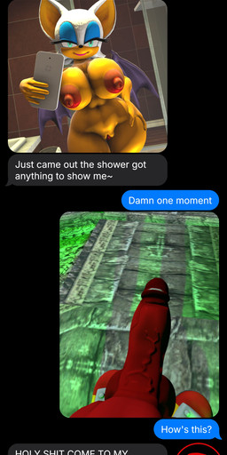 anthro big_breasts breasts dialogue duo electronics erection eyeshadow female genitals holding_object makeup male membrane_(anatomy) membranous_wings message nipples nude penis phone photo selfie simple_background text text_message texting user_message wings boiboi9999 passbass sega sonic_the_hedgehog_(series) bat_cracker knuckles_the_echidna rouge_the_bat bat echidna eulipotyphlan mammal monotreme 3d_(artwork) absurd_res digital_media_(artwork) english_text hi_res source_filmmaker_(artwork)