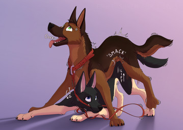 ambiguous_penetration ass_up blue_eyes brown_body brown_fur claws collar duo female female_penetrated feral feral_on_feral feral_penetrated feral_penetrating feral_penetrating_feral fur green_eyes leash leash_in_mouth leash_pull leashed_collar male male/female male_penetrating male_penetrating_female motion_lines object_in_mouth penetration power_bottom sex tongue tongue_out ethersilverfox helena_(kyurgan) thomas_(ragnar9th) canid canine canis domestic_dog german_shepherd herding_dog mammal pastoral_dog hi_res