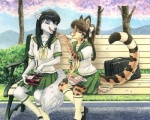 anthro asian_clothing bench caring cherry_blossom clothing cloud duo east_asian_clothing female flower hair japanese_clothing japanese_school_uniform lunch on_bench outside park plant prunus_(flower) romantic romantic_ambiance romantic_couple school_uniform serafuku sharing sitting sky tail uniform kacey canid canine felid mammal 2010