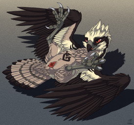 4_toes ambiguous_gender animal_genitalia anisodactyl avian_butt avian_feet cloaca feathers feet feral gaping gaping_cloaca genitals lying on_back presenting presenting_cloaca simple_background solo tail tail_feathers talons toes white_body white_feathers feathered_diva accipitriform avian bird osprey 2025 hi_res