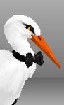 beak black_bow_tie bow_tie close-up feathers feral fluffy long_beak male orange_beak simple_background solo white_body white_feathers yellow_eyes ravi_(artist) avian bird stork digital_media_(artwork) hi_res pixel_(artwork) portrait