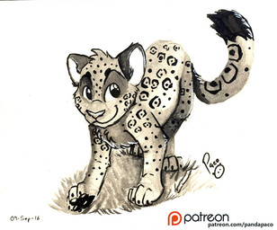 closed_smile dipstick_tail facial_spots feral glistening glistening_eyes grass head_tuft logo male male_feral markings mouth_closed pawpads plant quadruped simple_background smile solo spotted_back spotted_face spotted_legs tail tail_markings text tuft pandapaco 2016 artist_logo dated signature spot_color url