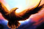 2017 avian beak bird brown_body brown_feathers digital_media_(artwork) feathered_wings feathers feral hi_res iolar signature solo varaann wings