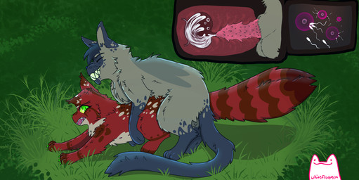 animal_genitalia animal_penis balls balls_deep bodily_fluids claws cum cum_in_uterus cum_in_vagina cum_inside doggystyle duo eyes_closed feline_genitalia feline_penis female feral forced forced_impregnation from_behind_position fur genital_fluids genitals green_claws green_eyes impregnation internal internal_vaginal logo looking_pleasured male male/female markings multiple_ova nipples open_mouth outside outside_sex ovum penetration penile_spines penis questionable_consent rape red_body red_fur sex sharp_teeth smile smirk sperm_cell striped_body striped_fur striped_markings stripes tan_body tan_fur teeth text uterus vaginal vaginal_penetration whitefroggim warriors_(book_series) fan_character domestic_cat felid feline felis mammal artist_logo artist_name hi_res