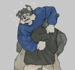 anthro black_body black_fur bottomwear carrying_another carrying_partner clothing duo ear_piercing eyewear fireman's_carry folded_ears fur glasses intimate kemono male male/male markings multicolored_body multicolored_fur pants piercing shirt topwear two_tone_body two_tone_fur white_body white_fur 3think lin_(3think) oliver_(3think) border_collie canid canine canis collie domestic_dog felid herding_dog mammal pantherine pastoral_dog sheepdog hi_res