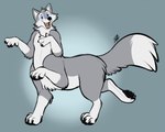 4_legs 6_limbs artist_initials black_nose black_pawpads blue_background blue_pupils clothing countershade_face countershade_fur countershade_neck countershade_torso countershading dipstick_tail facial_tuft fur gloves gloves_(marking) gradient_background grey_body grey_fur handpaw handwear leg_markings looking_at_viewer male markings neck_tuft nude nude_male nude_taur open_mouth open_smile pawpads paws pupils side_view simple_background smile socks_(marking) solo standing step_pose tail tail_markings teeth three-quarter_view tongue tuft white_body white_countershading white_inner_ear white_markings pastelcore tieg_graywolf canid canid_taur canine canine_taur canis mammal mammal_taur taur wolf wolf_taur 2021 colored pastel_theme