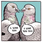 1:1 2021 ambiguous/ambiguous ambiguous_gender avian beak bird border columbid dialogue digital_media_(artwork) duo english_text falseknees feathered_wings feathers feral i_love_you pigeon rock_dove romantic romantic_couple text traditional_media_(artwork) white_border white_speech_bubble wings